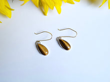 Load image into Gallery viewer, Tiger Eye Earrings
